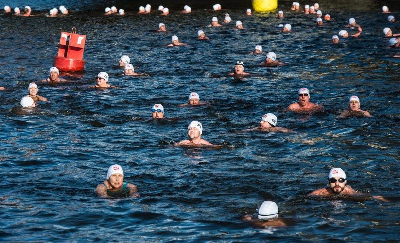 CZESKIE MORSY KĄPIĄ SIĘ W WEŁTAWIE