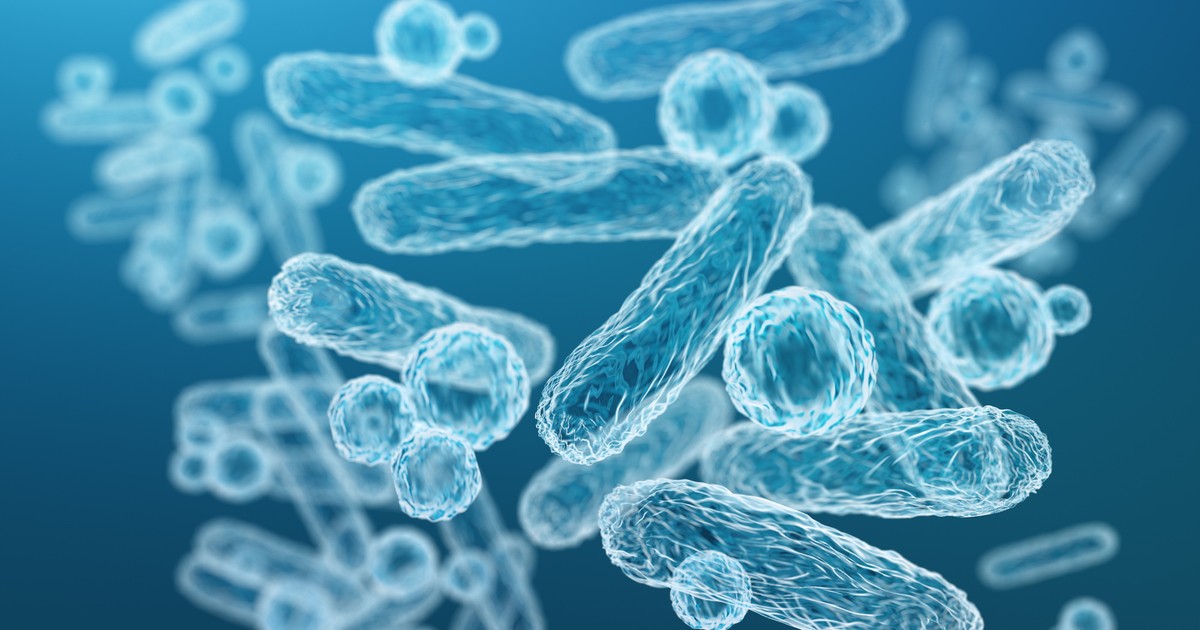 Co piąta kobieta ma zaburzoną mikrobiotę. Styl życia i warunki środowiskowe mają najważniejsze znaczenie