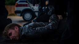 mężczyzna który ukradł krzyk serial dokumentalny gdzie oglądać