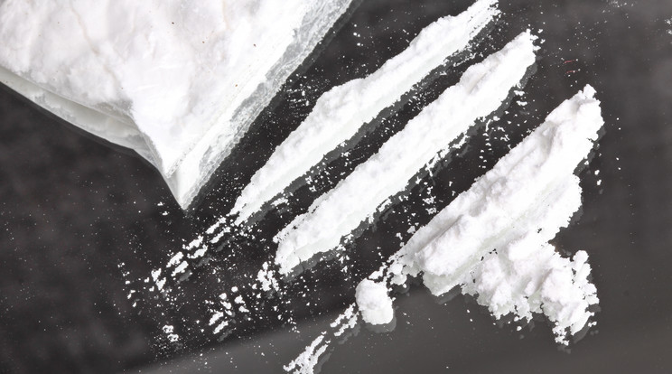 Kokaint rendelt tejfakasztó bulijára egy férfi Felsőtárkányban, a házkutatás során még több kábítószert és tiltott teljesítményfokozó szereket találtak / Fotó: Northfoto