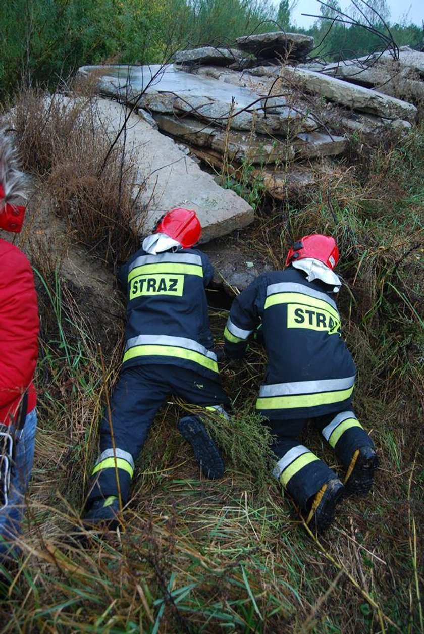 Strażacy uratowali suczkę i jej dwa szczeniaczki