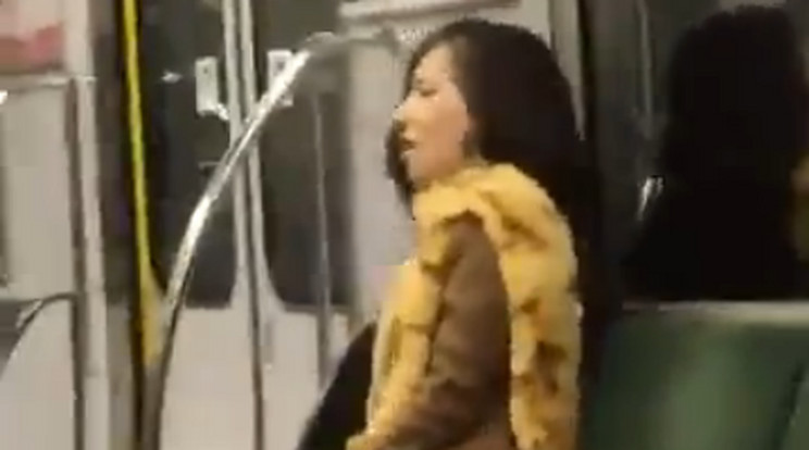 Meglovagolta a rázkódó ülést egy metrón utazó nő / Fotó: LiveLeak