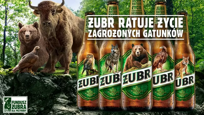 Producent piwa Żubr ratuje tereny siedlisk zagrożonych gatunków