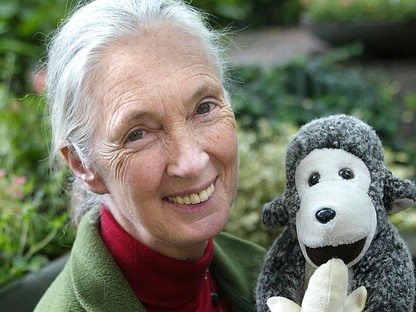 10 tény, amit tudnod kell a fantasztikus Jane Goodall emlőskutatóról