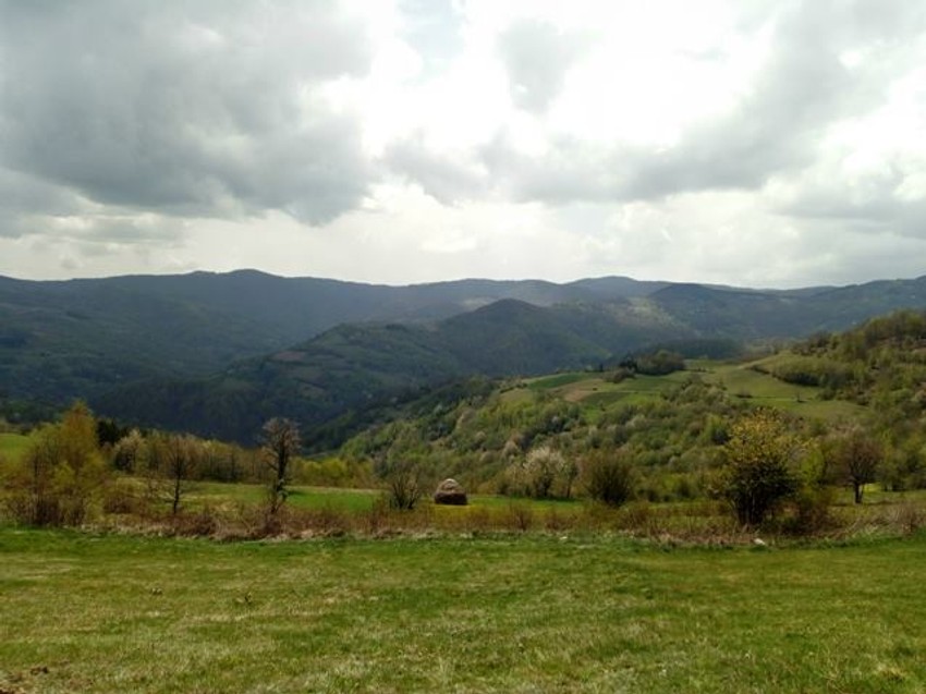 Lekovita ruža vetrova: Mesto gde dođeš da duboko dišeš