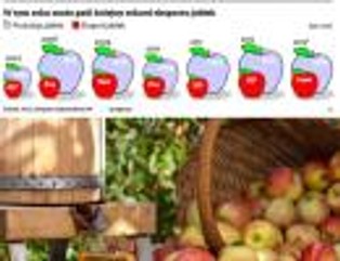 Polska trzecim największym producentem jabłek na świecie