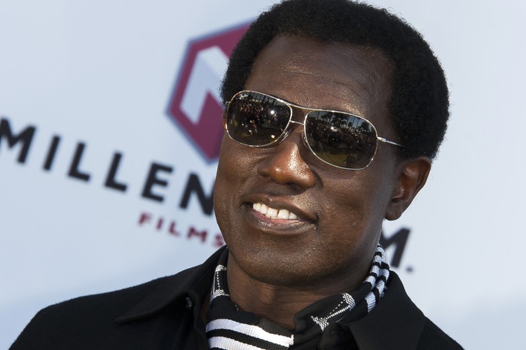 <b>Wesley Snipes</b>
<br><br>
W swoim „złotym” hollywoodzkim okresie amerykański aktor kina akcji Wesley Snipes na swoich filmowych kontraktach zarobił ponad 38 milionów dolarów. Niestety częścią tych pieniędzy zapomniał podzielić się z fiskusem. Koniec końców, znany z takich filmów jak „Blade”, „Teoria chaosu” czy „Człowiek demolka” aktor trafił do więzienia na trzy długie lata. Na szczęście (dla siebie, jak i swoich fanów) Snipes opuścił już więzienne mury i obecnie szykuje się do powrotu na kinowe ekrany.