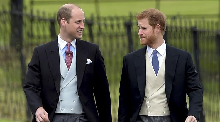Vilmos és Harry hercegek szombaton egy privát ceremónián emlékeznek meg édesanyjukról