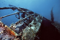 Niesamowite, co krył wrak na dnie Bałtyku. Archeolodzy wydobyli skarb sprzed 170 lat