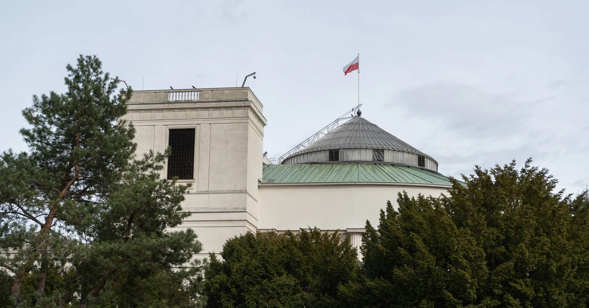 Konfederacja z rekordem. Kto będzie rządził po wyborach?