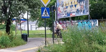 Eko groza w Łodzi. Trawy jak dżungla. Nie widać pieszych, ani rowerzystów. Wytnijcie te chwasty zanim ktoś zginie