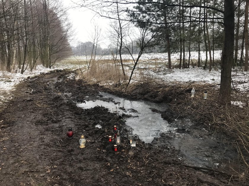 Tragedia w Trzęsówce