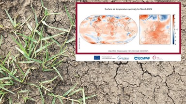 Pogoda w ostatnich miesiącach szokuje. Klimatolodzy nie mają dobrych wiadomości