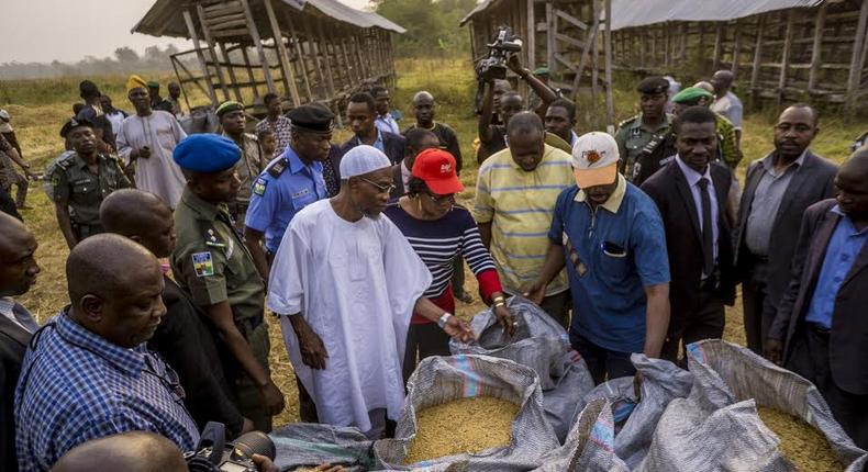 Gov Arebesola inspects Osun Rice