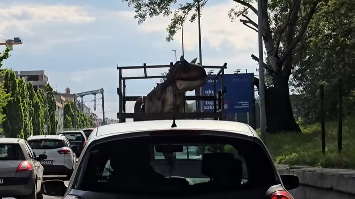 Dinosaurus na ulicama Novog Sada: Šokantan prizor u prikolici automobila