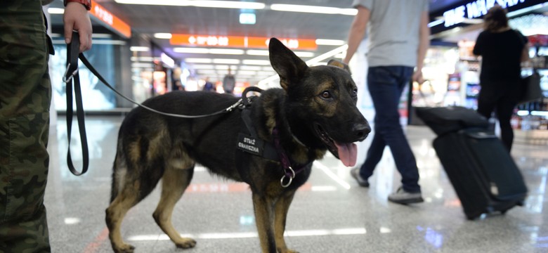 Straż Graniczna walczy o emerytury... dla psów. O jakie pieniądze chodzi?