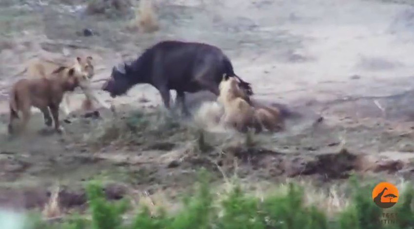 Prijatelj će uvek pomoći u nevolji