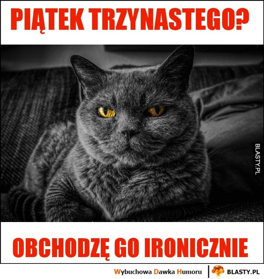 Dzisiaj piątek trzynastego. Te memy poprawią ci humor