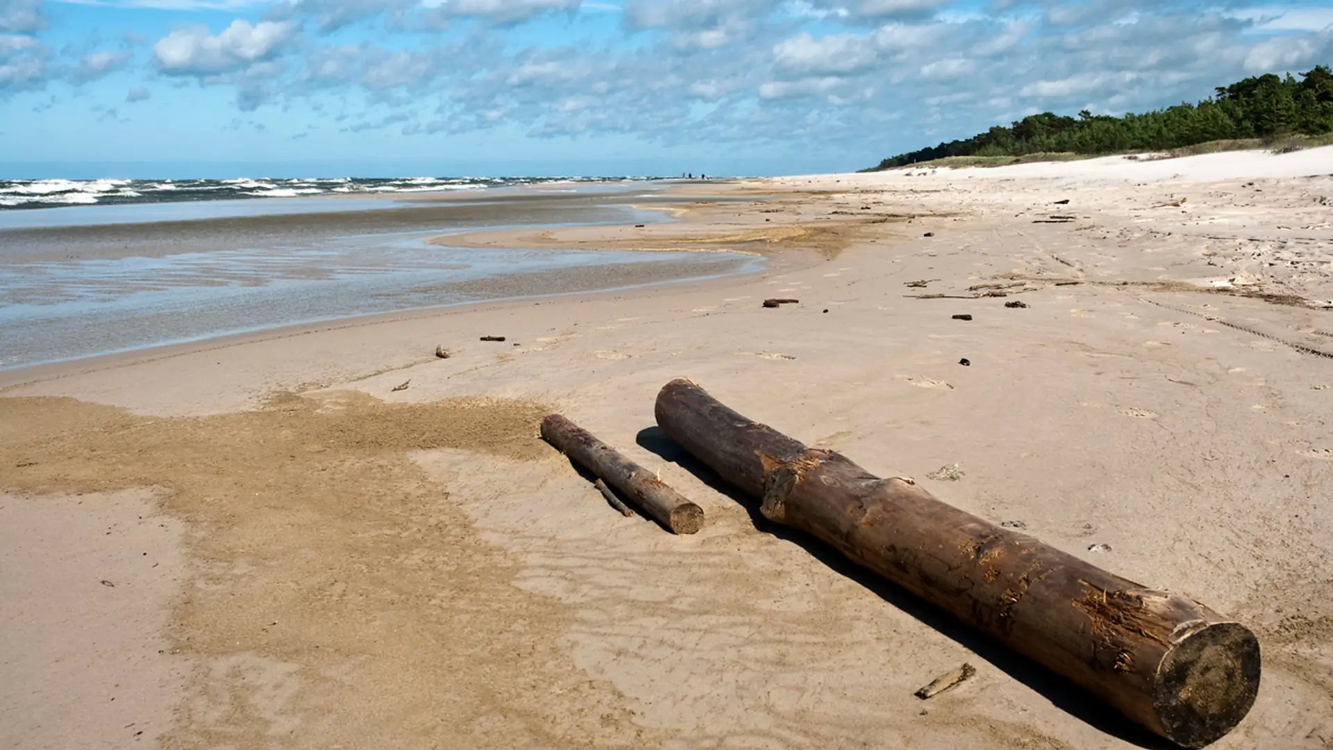 Wielkie sprzątanie plaż, Czysty Bałtyk po raz pierwszy