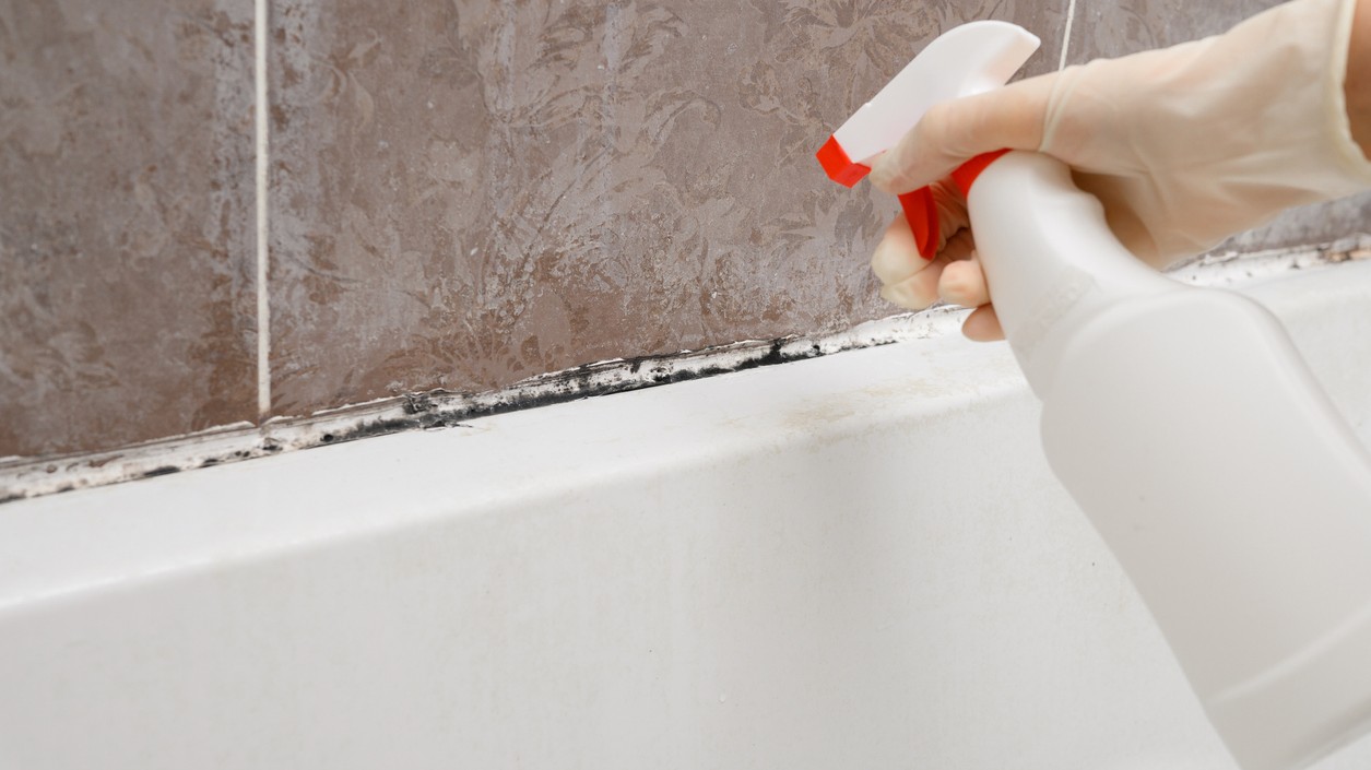 Ako odstrániť plesne z kúpeľne bez chémie: Dva triky, ktoré fungujú