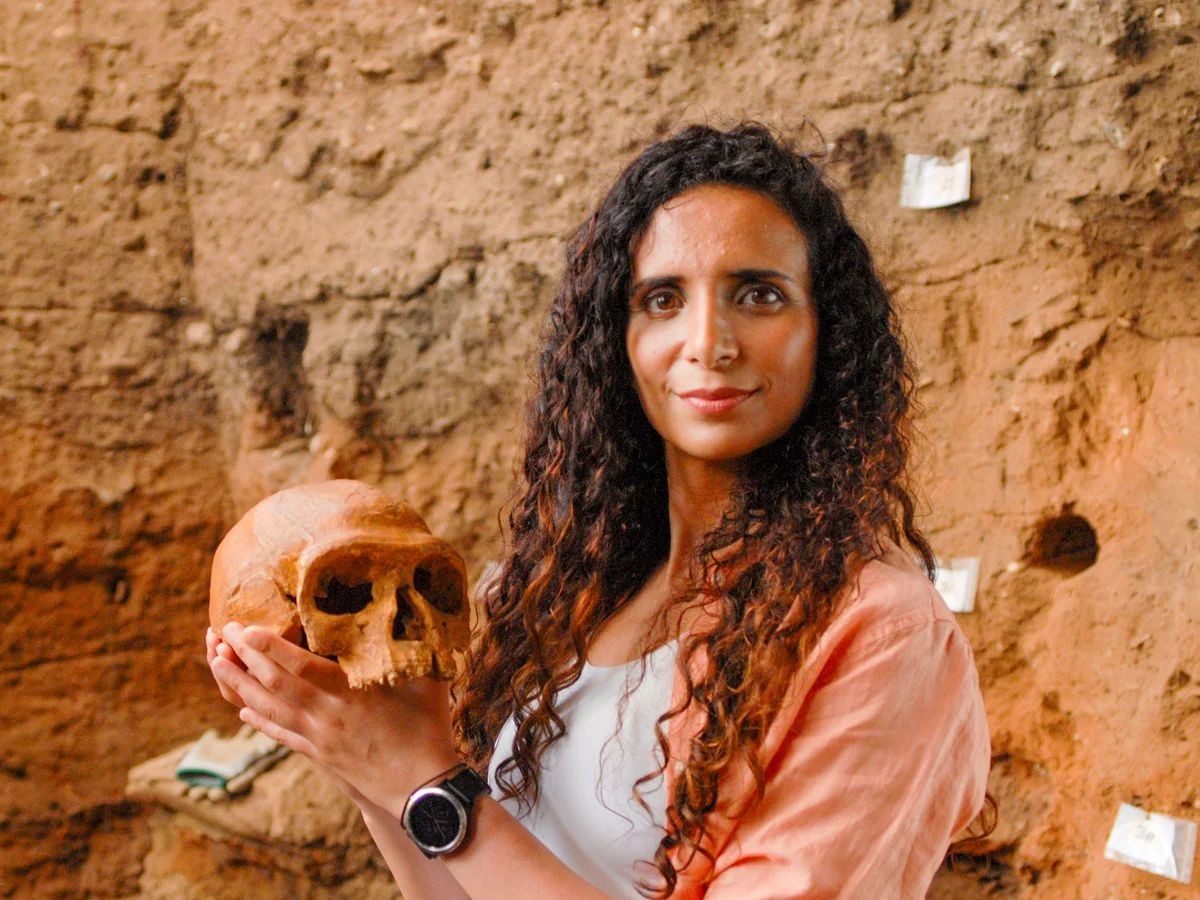 "Człowiek: historia ewolucji"