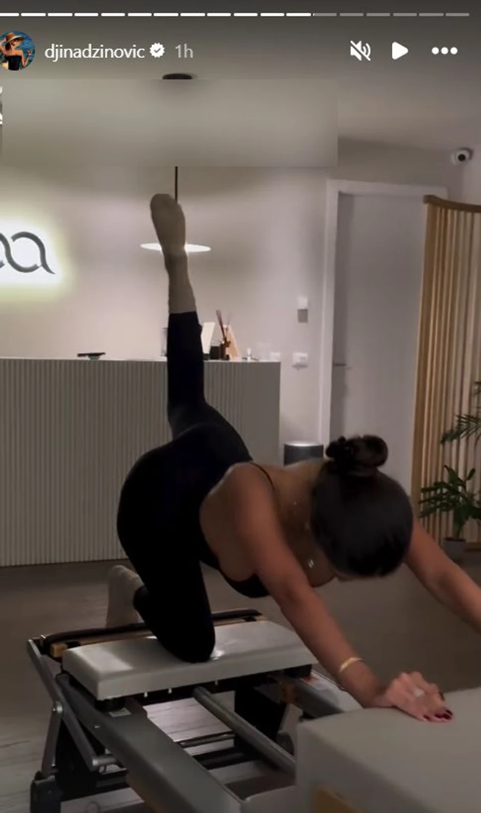 Đina Džinović, objava