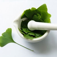 Ginkgo biloba - nem való mindenkinek, ilyen mellékhatásai lehetnek az ismert gyógynövénynek