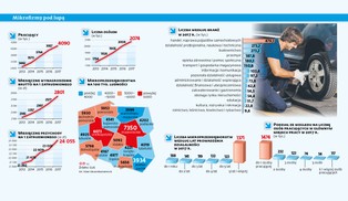 W ciągu czterech lat liczba mikroprzedsiębiorstw wzrosła o niemal jedną piątą