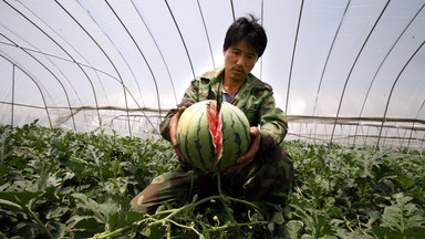 Chiny: zagadka eksplodujących arbuzów