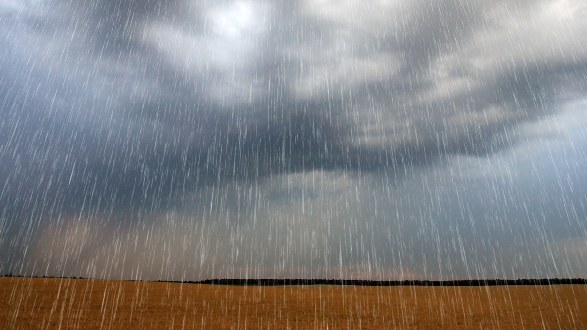 W nocy z soboty na niedzielę 8 lipca miejscami wystąpią przelotne opady deszczu, a na Mazowszu, Lubelszczyźnie, Kielecczyźnie i na Podkarpaciu lokalnie zagrzmi.