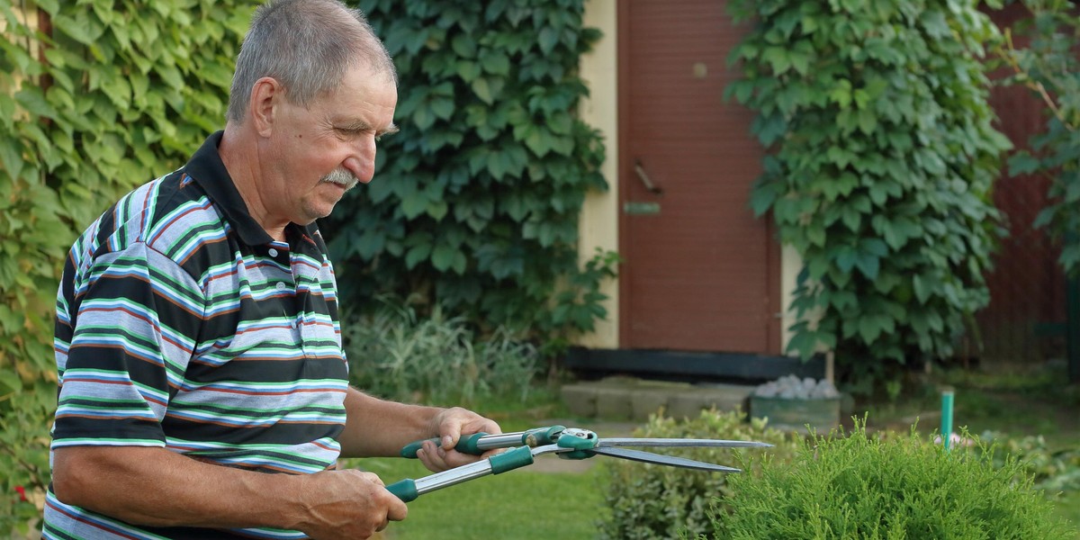 Działkowcom, którzy pobierają wodę z nielegalnych abisynek, grożą surowe kary. 