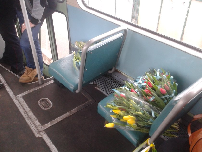 Tulipany w tramwaju