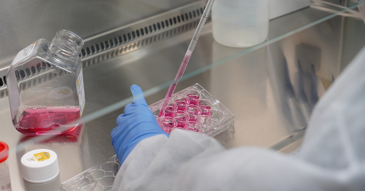 Gdy Novo Nordisk kicha, cała Dania choruje