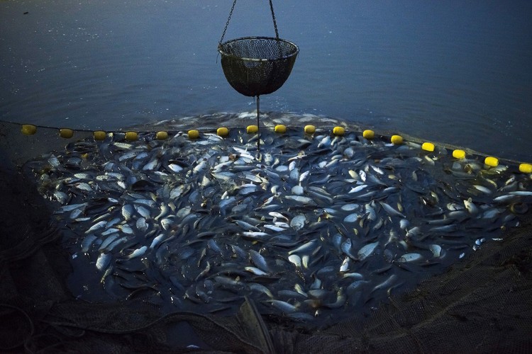 NIEZAPOMNIANE ZDJĘCIA 2015 ROKU
