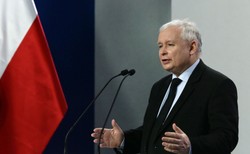 Kaczyński zapowiada: Będzie poprawka do ustawy dot. wycinki drzew