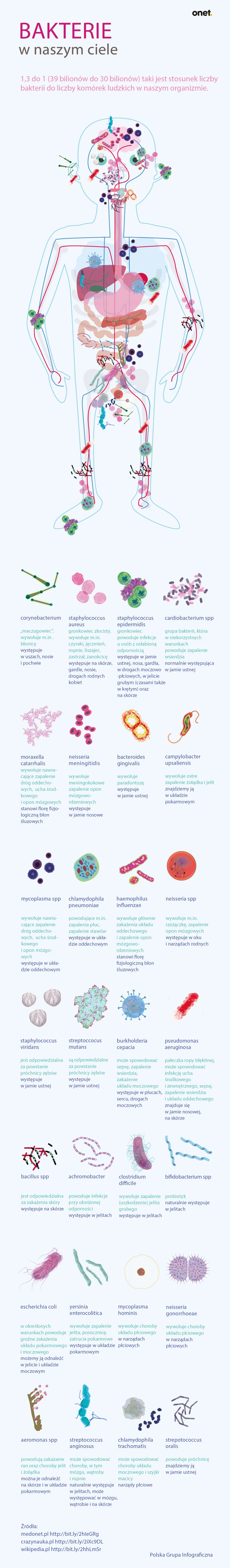 Bakterie w ciele człowieka