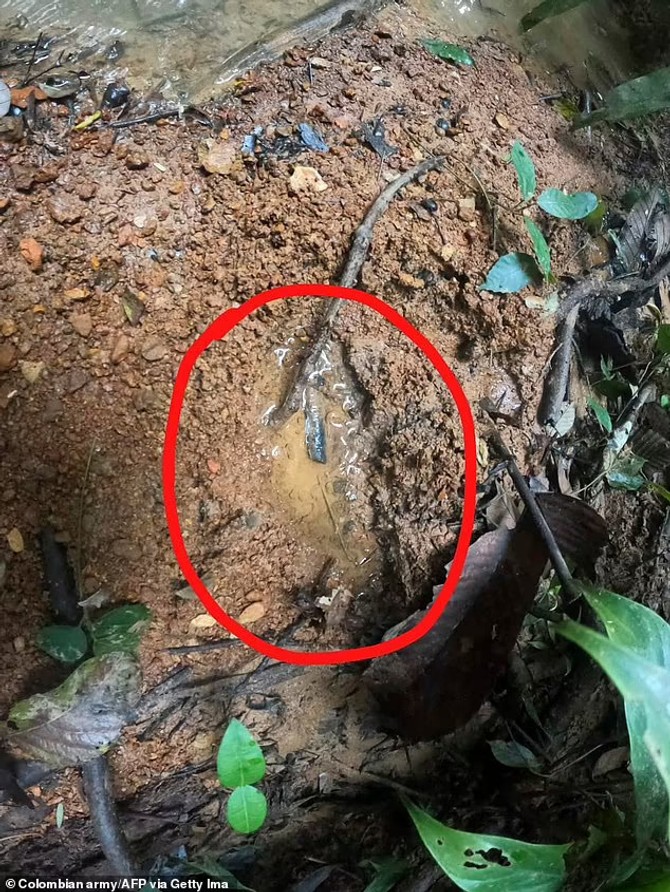 Četvoro dece bilo izgubljeno u prašumi 40 dana nakon pada aviona
