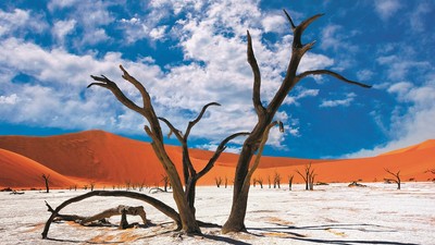 Deadvlei (tzw. martwe bagno) w parku Namib-Naukluft w Namibii