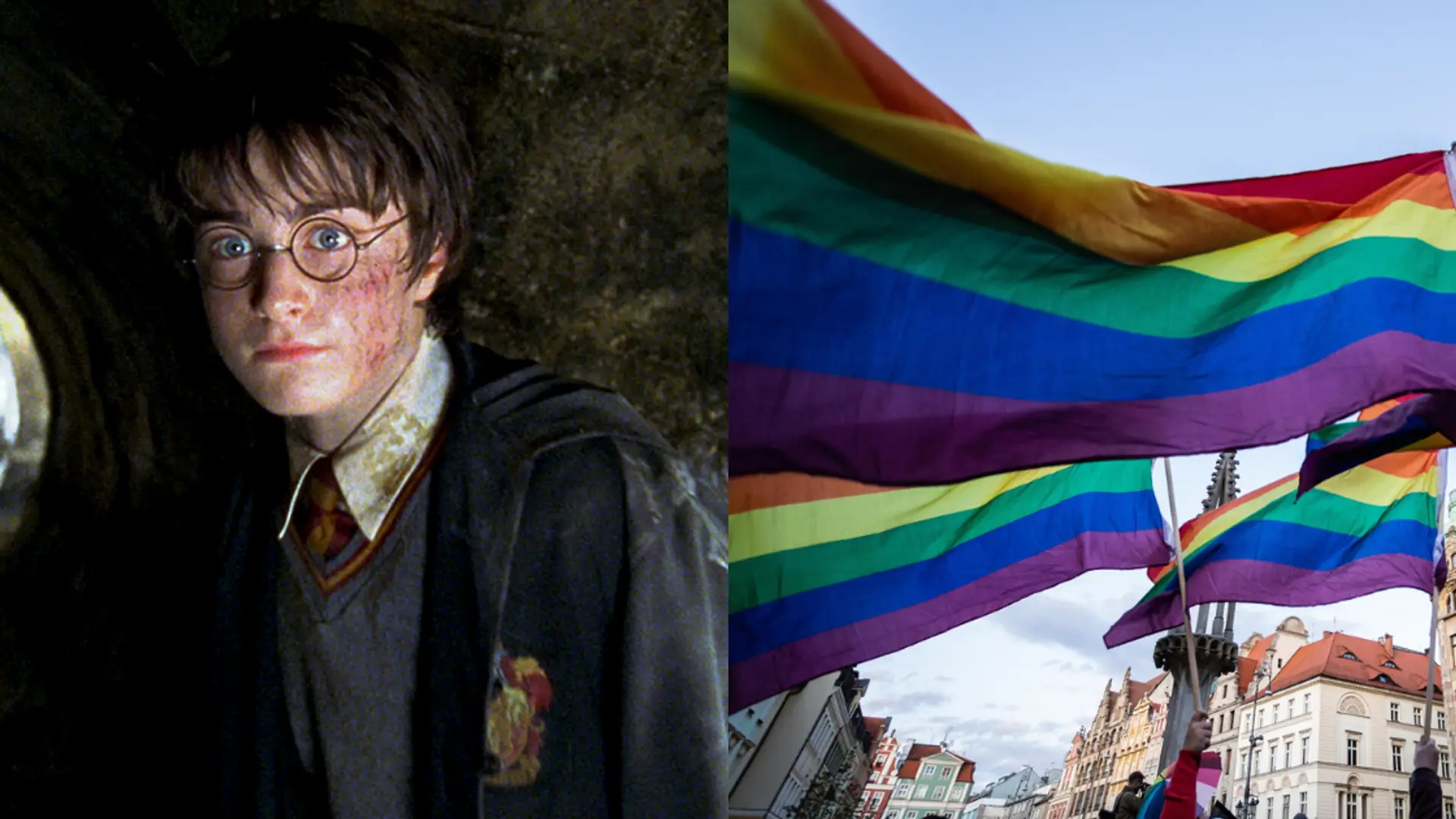 "Harry Potter" i serial "Przyjaciele" tylko dla dorosłych. Wszystko przez wątki LGBT