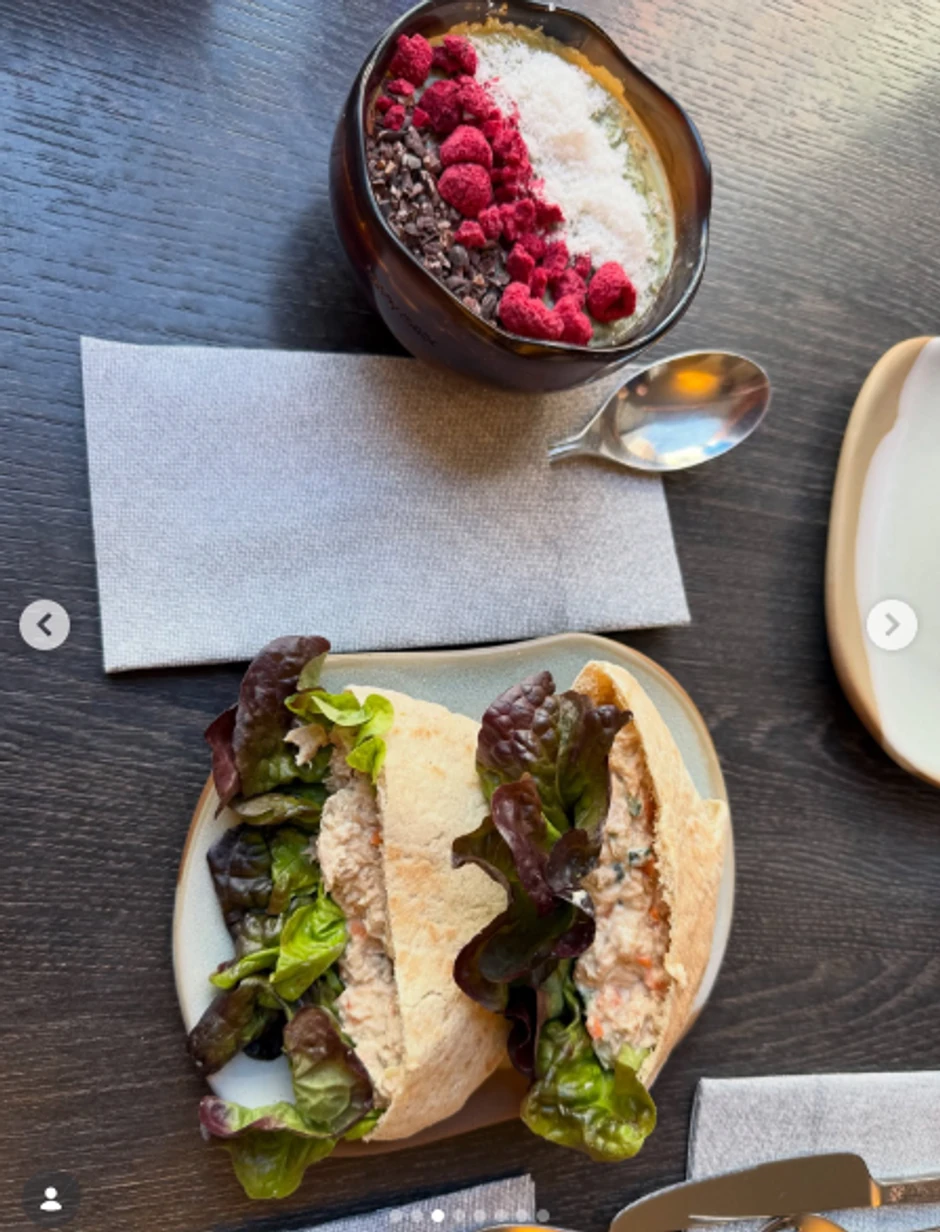 Jedan dan Ane Antić