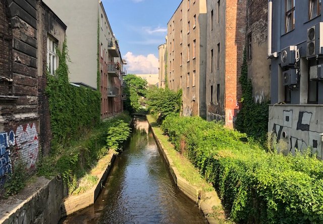 Katowice nie posiadają rzeki w centrum miasta, tym bardziej cenne jest dbanie o płynący tam kanał