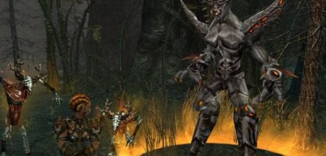 Screen z gry "Dungeon Siege 2: Broken World"