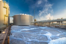 Spółka Anwil zdecydowała o wznowieniu produkcji nawozów azotowych