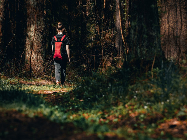 Dziewczynka idzie do lasu. Ucieczka z domu