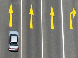 Nie blokuj drogi, baranie! Co na to policja?