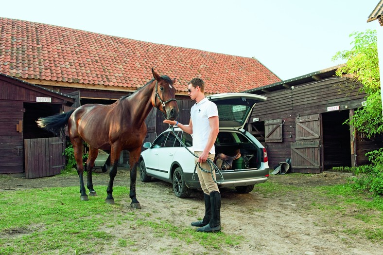 Galop na łące, kłus leśnymi przecinkami