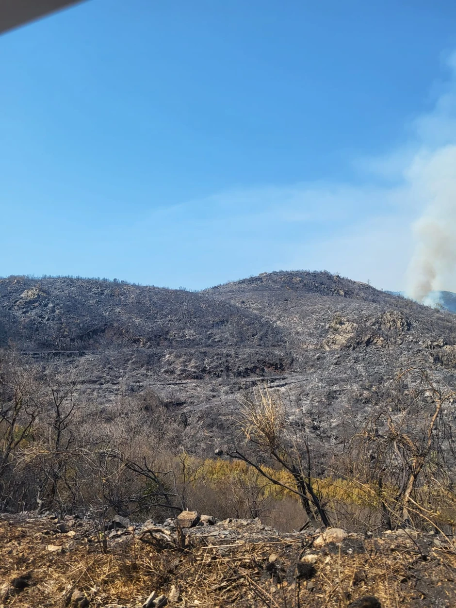 Izgorela šuma kod Čanja
