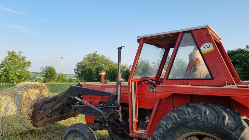 Srpski poljoprivrednici neumorno rade i po vrućini