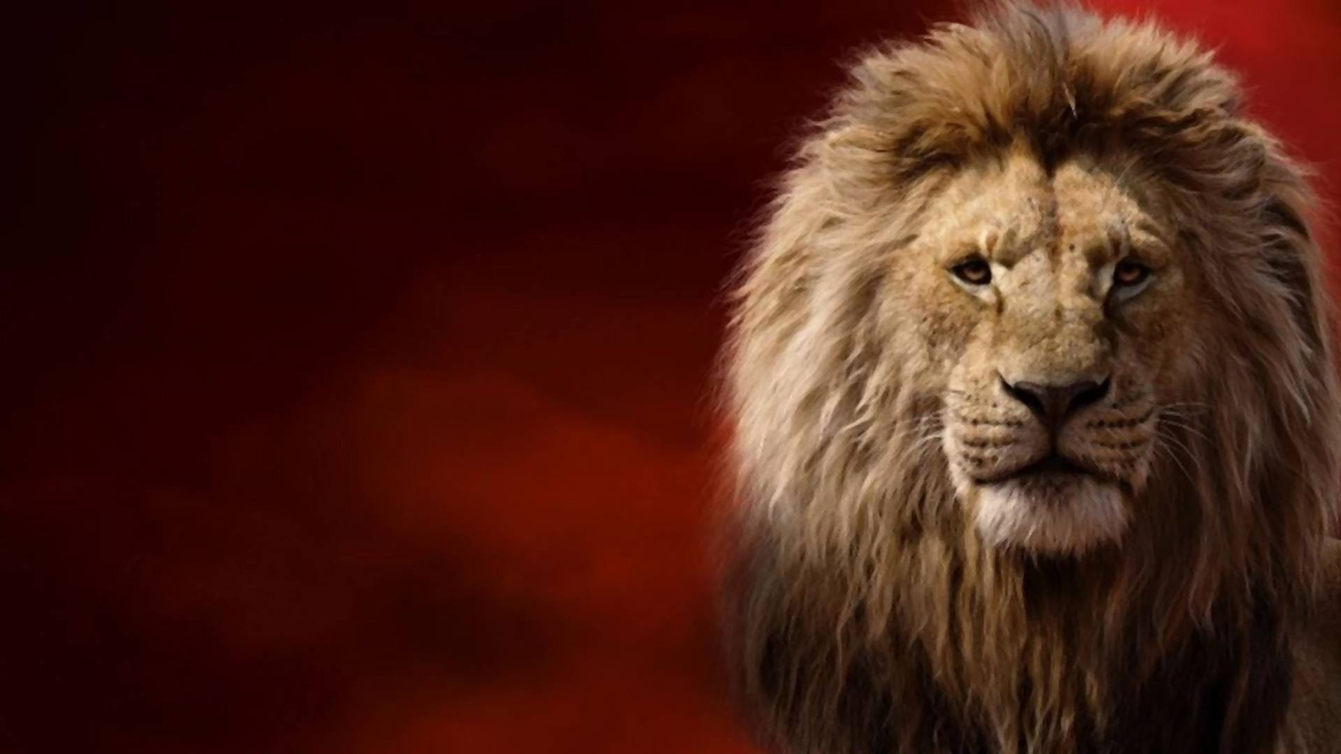 Realizm zabił królestwo - recenzja "Króla Lwa"