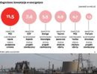 Bardzo niepewne inwestycje w polskiej energetyce